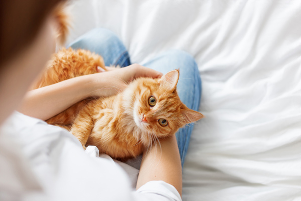 Woman with cat in her lap