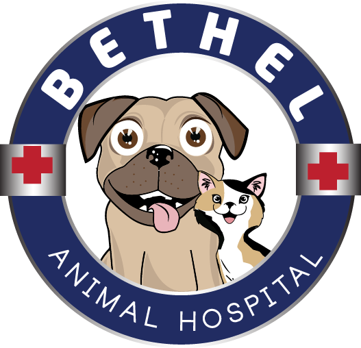 Bethel Animal Hospital Cumming Ga Forsyth County Gainesville Ga