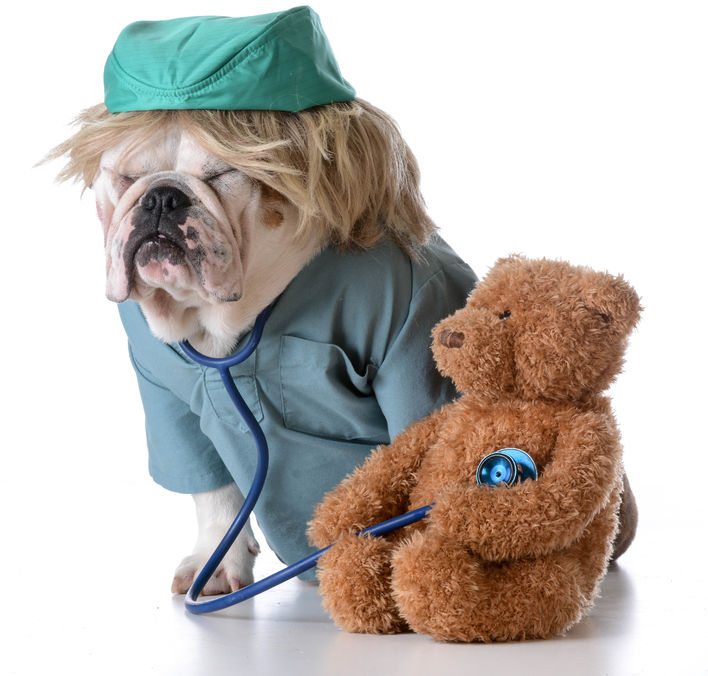 Pet Nurse Pet Nurse