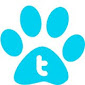 twitter icon